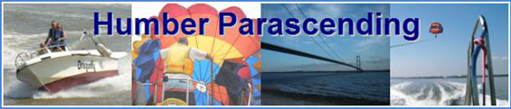 2008 Logo06